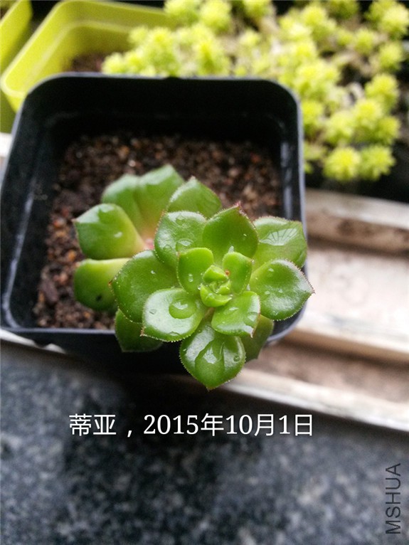 ����6 20151001.jpg