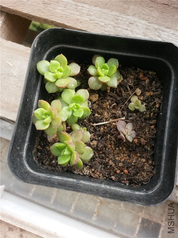 ���� 20151024.jpg