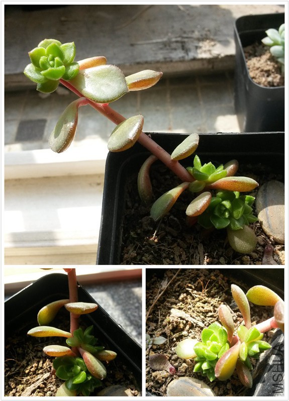 ����1 2015_10_25.jpg