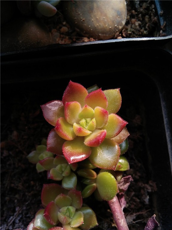 ���� 20160131.jpg