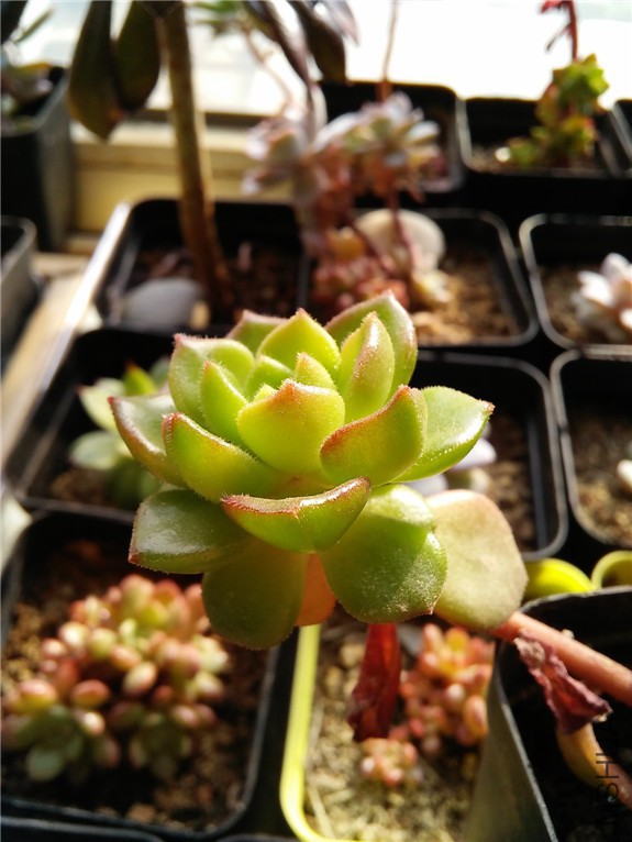 ����5  20160131.jpg