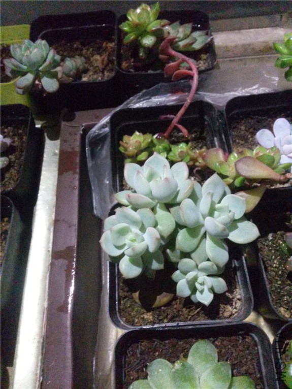 ���� 20160122.jpg