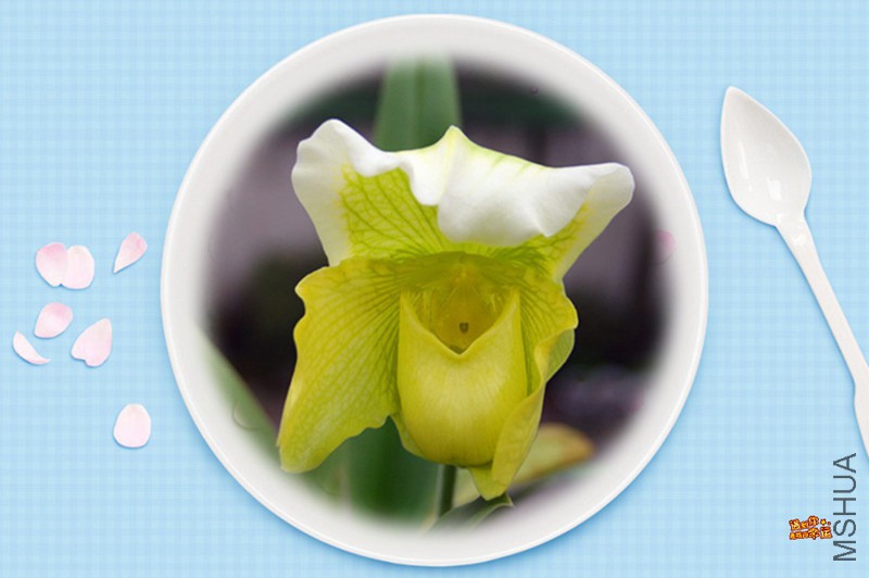 ��Ƭ 073_����_����.jpg