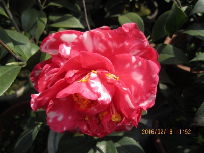 IMG_7130_�༭.jpg