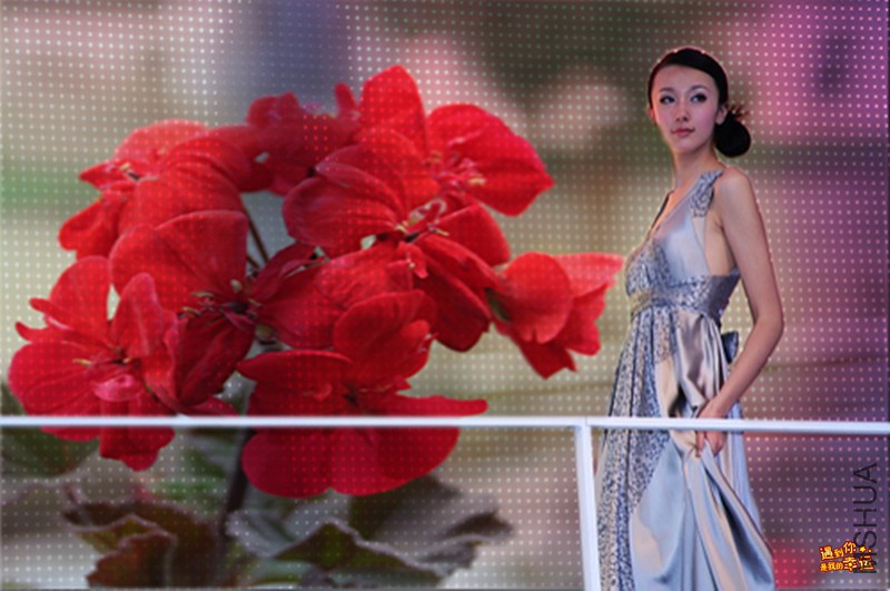 ��Ƭ 049_����.jpg