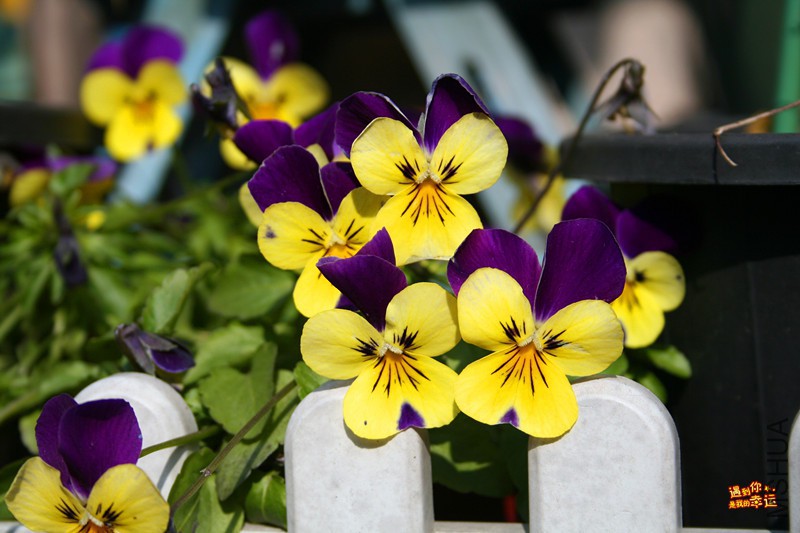 ��Ƭ 010_����.jpg