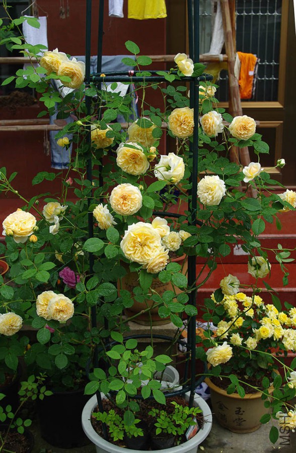 201205-424.JPG