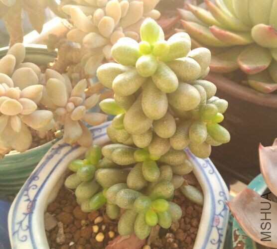 QQͼƬ20160218102324.jpg