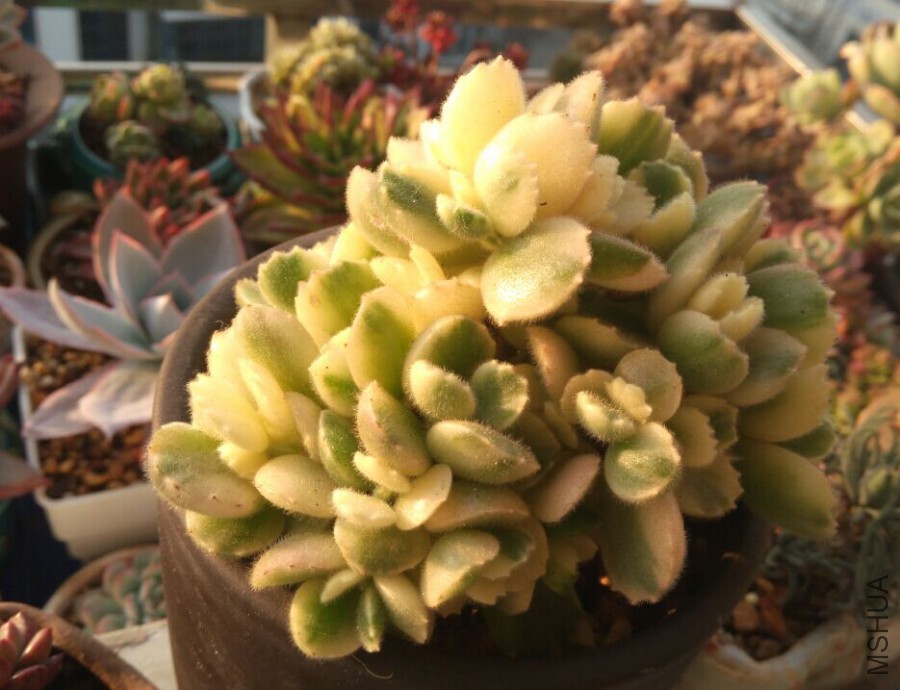 QQͼƬ20160218102815.jpg