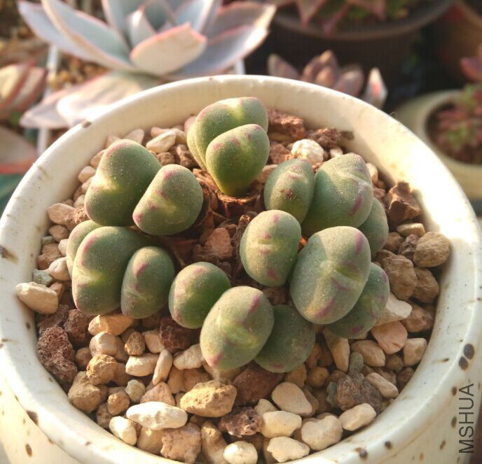 QQͼƬ20160218102615.jpg