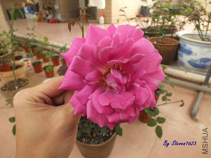 DSCF9239.JPG