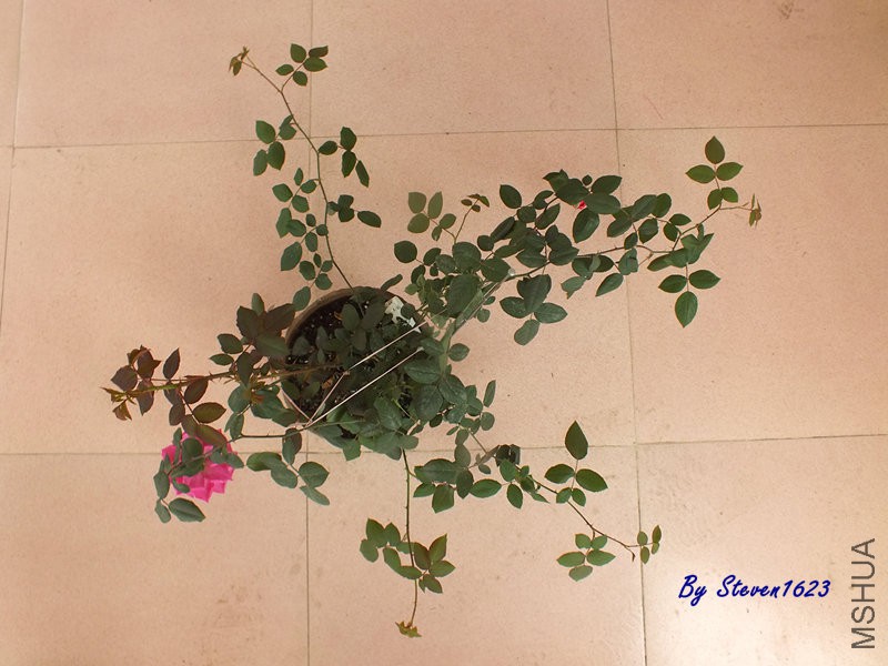 DSCF9255.JPG