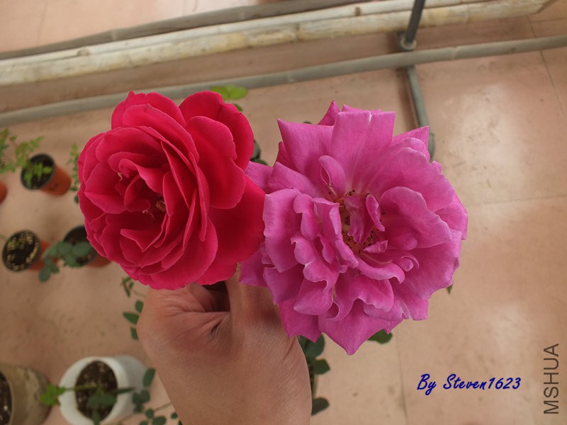 DSCF9285.JPG