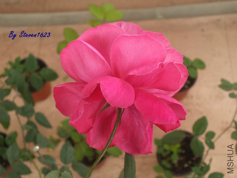 DSCF9324.JPG