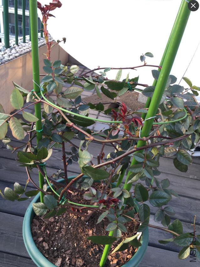 QQ��ͼ20160219140942.jpg