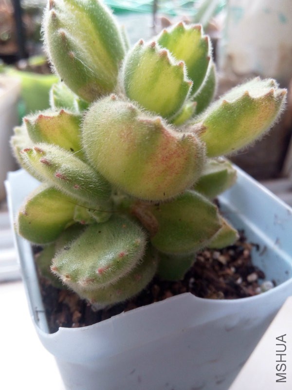 360��������