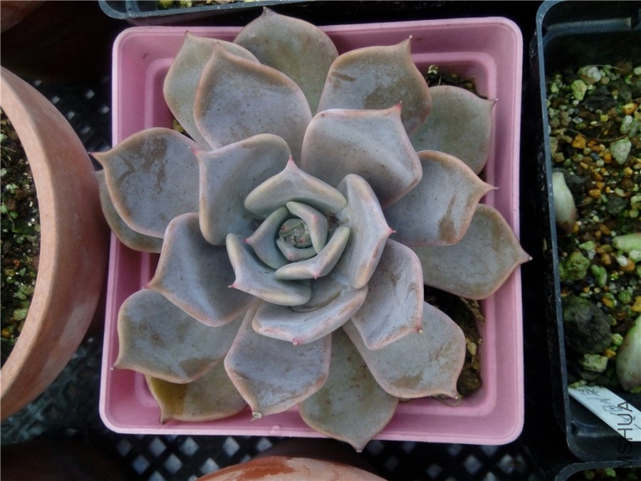 2.¶����