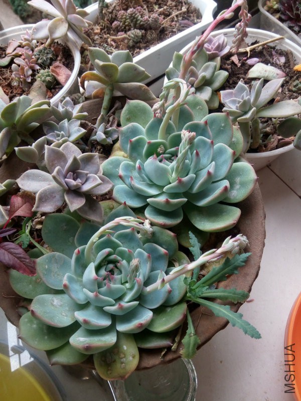 �Ѿ��л�����