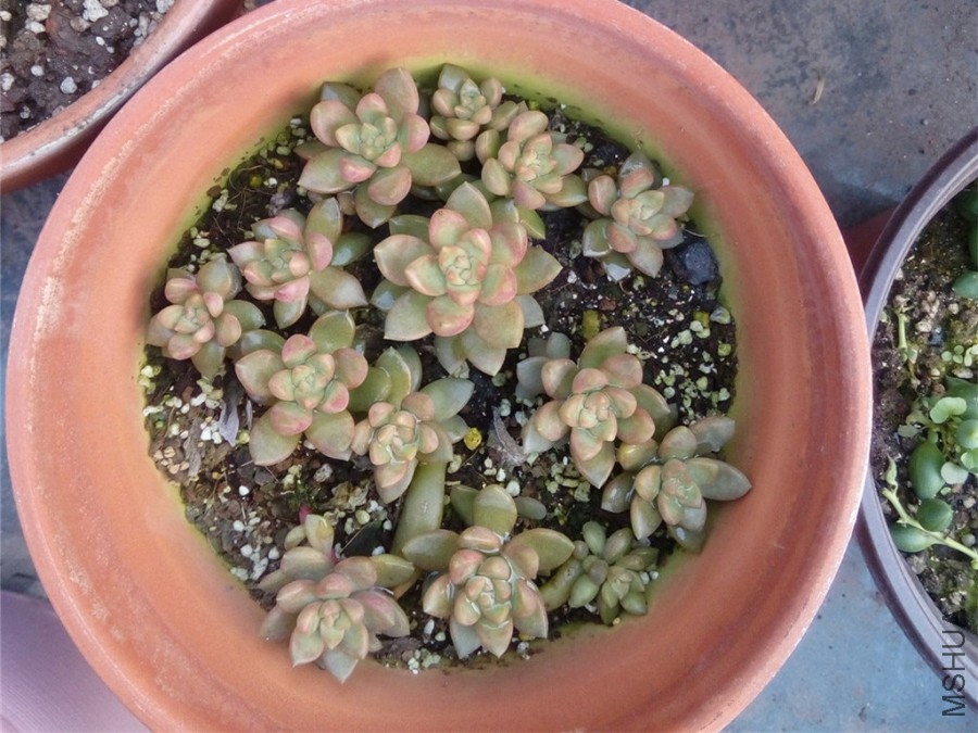 3.�Լ�Ҷ��Ļ���