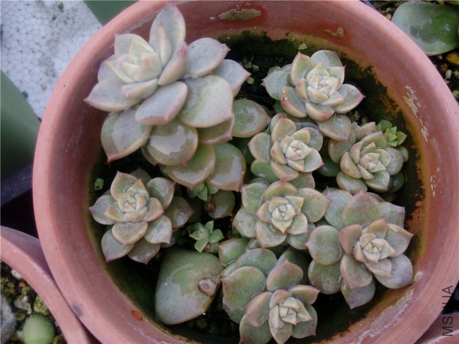 5.��ĵ��