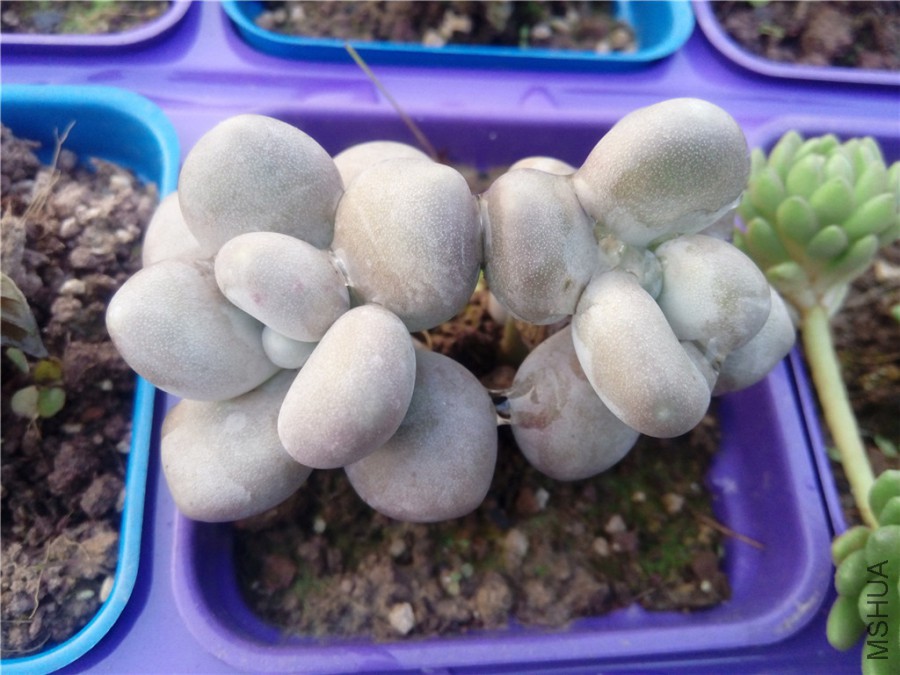 7.������