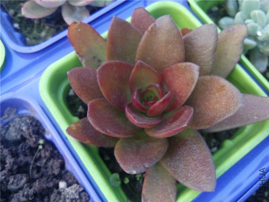 8.������־Ͳ�����ˣ���Ӧ�ò��ǻ��