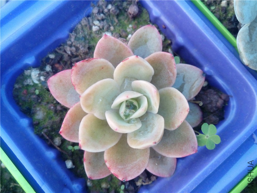 9.���Ҳ����ʶ