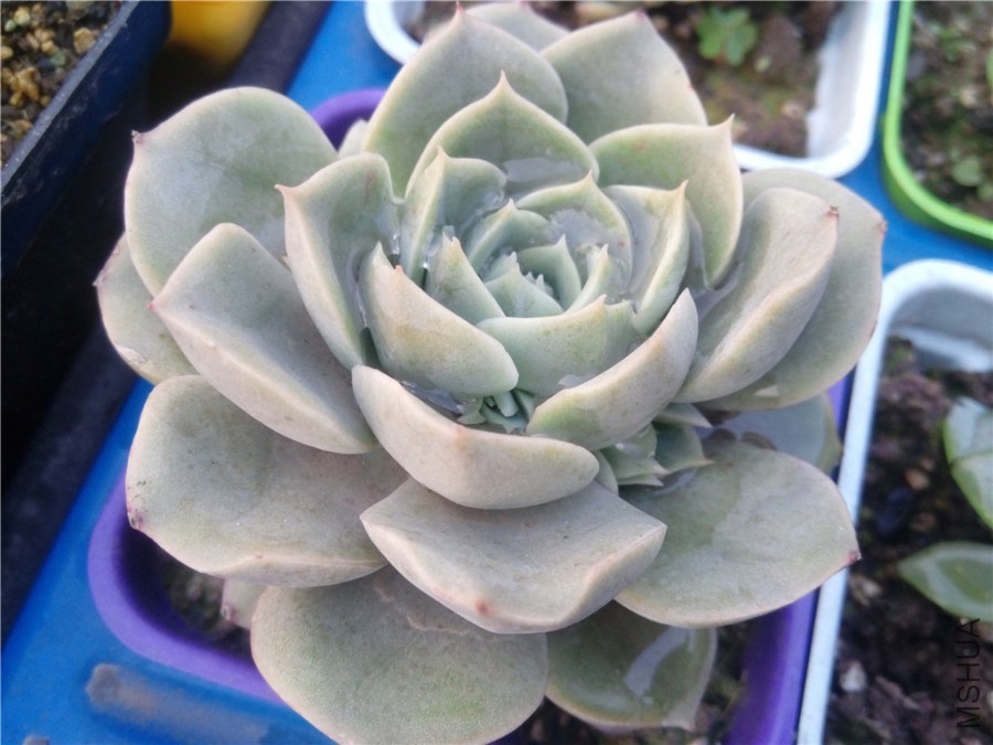 10.��һ������ʶ��
