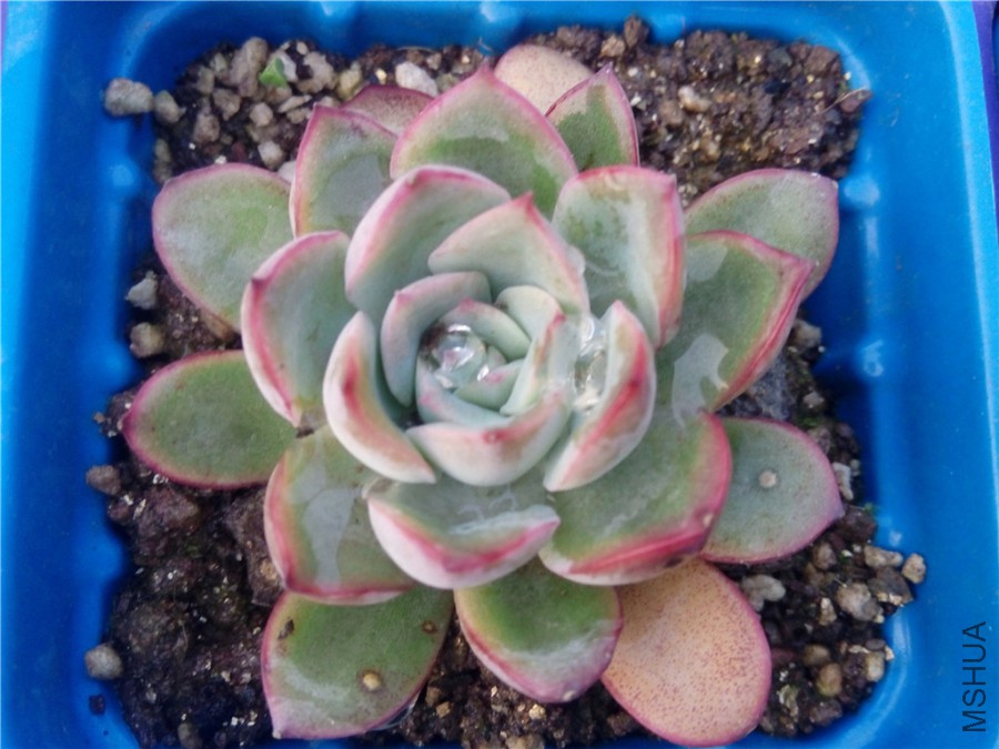 12.��֪��