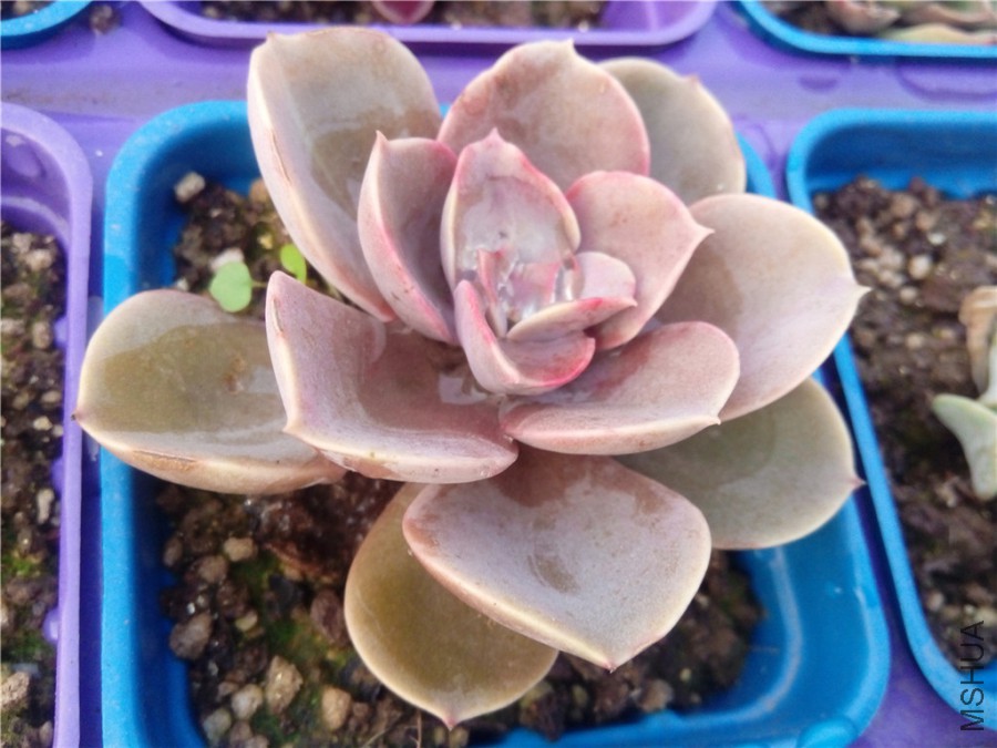 13.�е���������