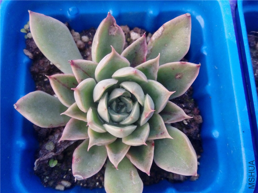 14.���Ҳ������