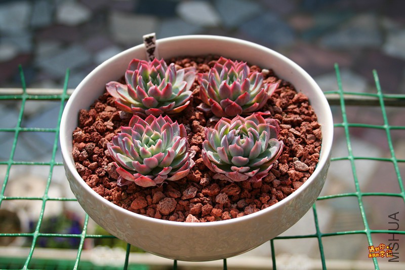 ��Ƭ 028_����.jpg