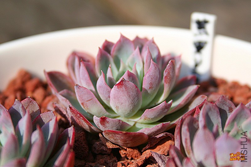 ��Ƭ 033_����.jpg