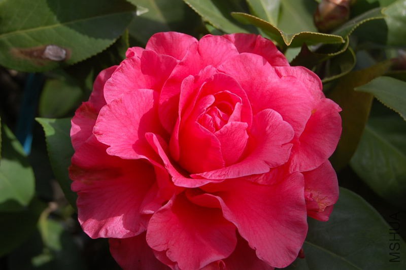 DSC_30080291.JPG