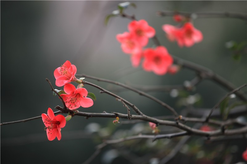 ������������ (1).JPG