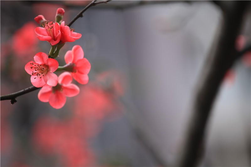 ������������ (2).JPG