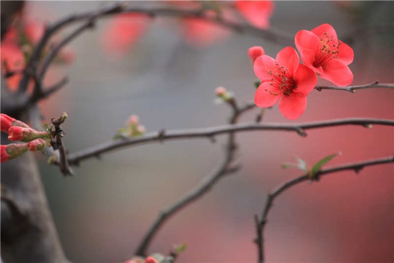 ������������ (4).JPG