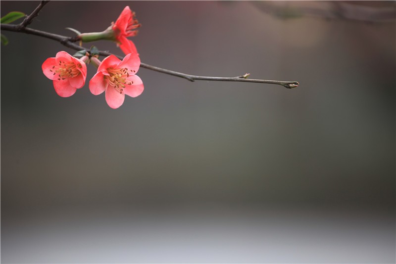 ������������ (6).JPG