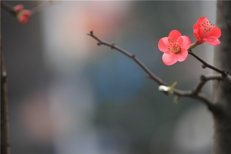 ������������ (8).JPG