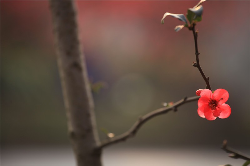 ������������ (9).JPG