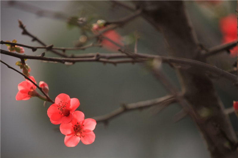 ������������ (10).JPG