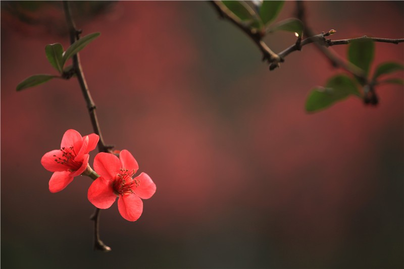 ������������ (11).JPG