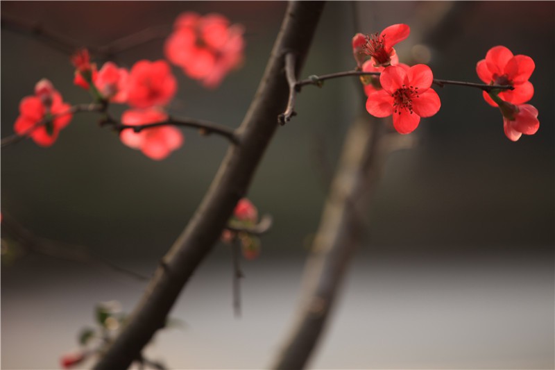 ������������ (12).JPG