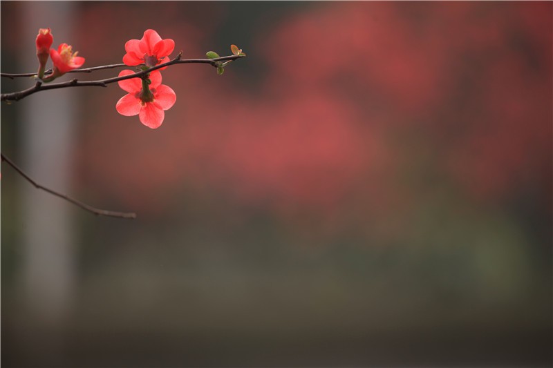 ������������ (14).JPG