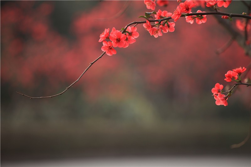 ������������ (13).JPG