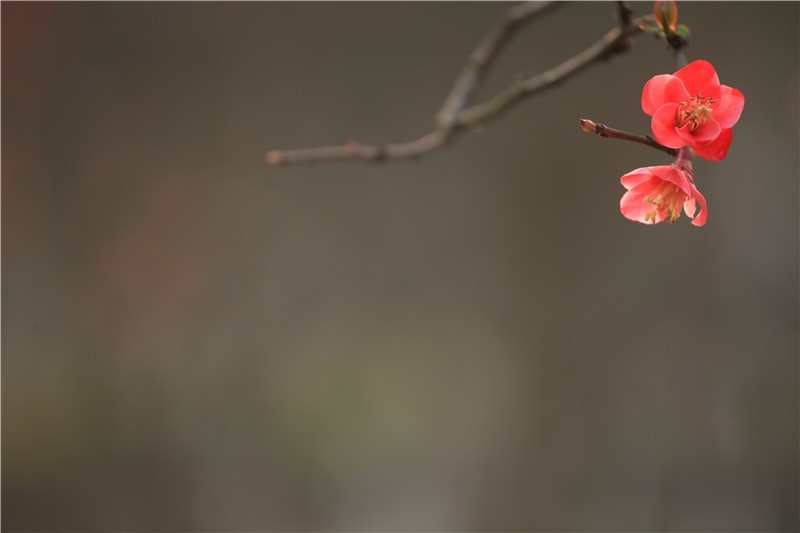 ������������ (15).JPG