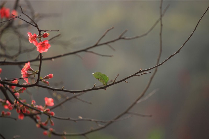 ������������ (18).JPG