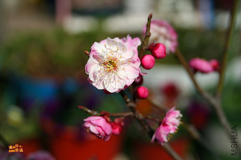 ��Ƭ 017_����.jpg