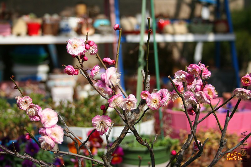 ��Ƭ 015_����.jpg