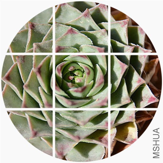 ��Ƭ 003_����.jpg